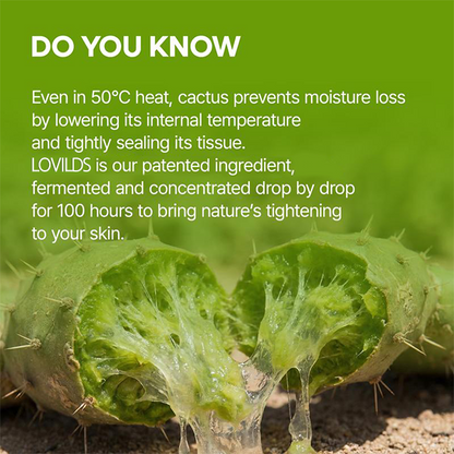 LOVILDS™ V-Lift Mewing Band - Cactus Cooling | De-Puffing & Pore Refining Care