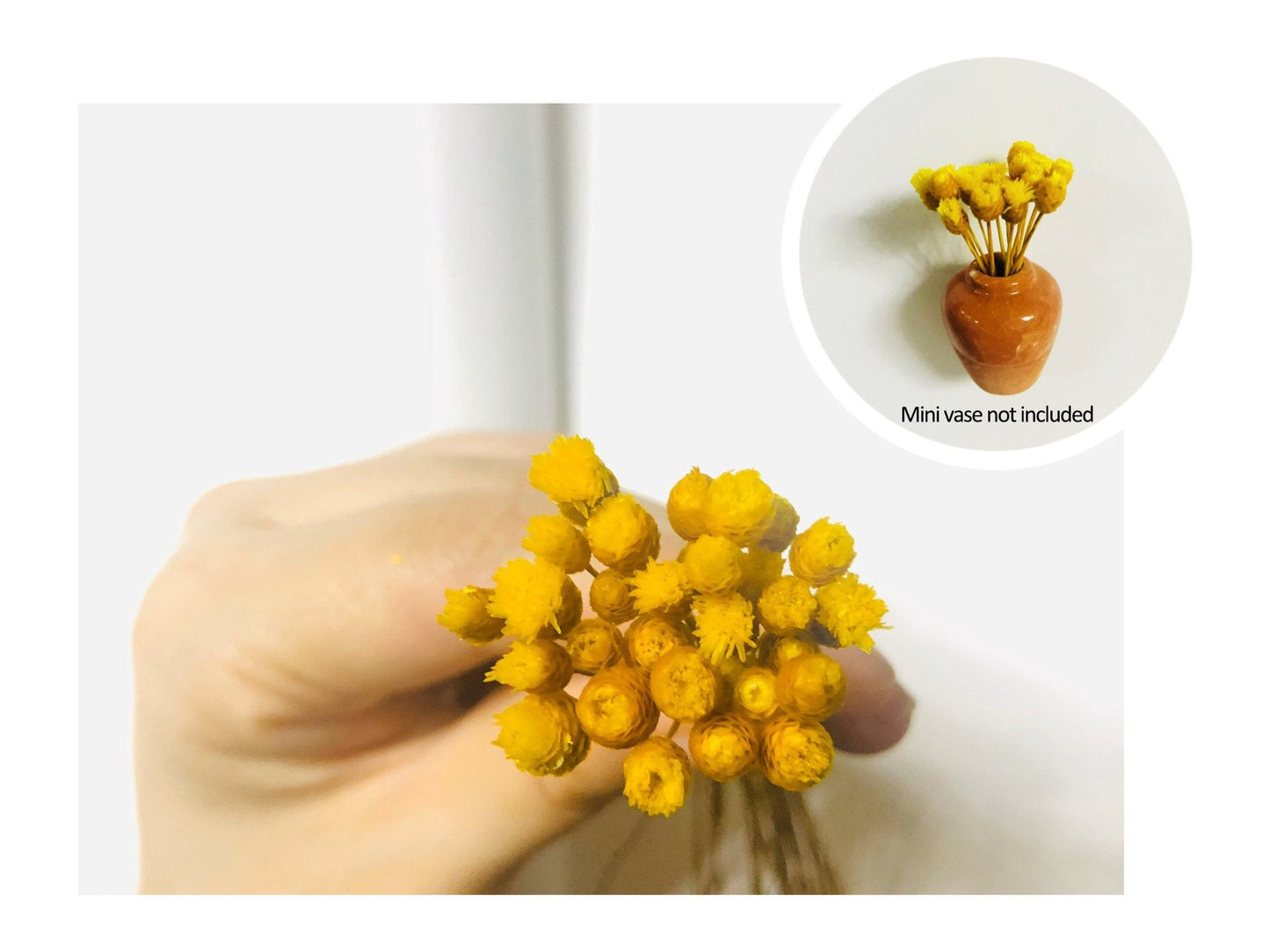 🎁Last Day Sale 49% OFF🌸 Mini Ceramics Vase Fridge Magnet