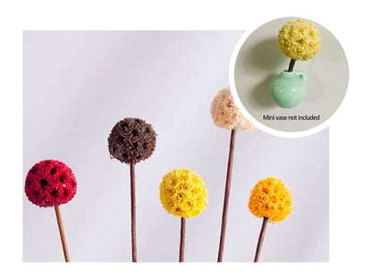 🎁Last Day Sale 49% OFF🌸 Mini Ceramics Vase Fridge Magnet