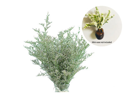 🎁Last Day Sale 49% OFF🌸 Mini Ceramics Vase Fridge Magnet