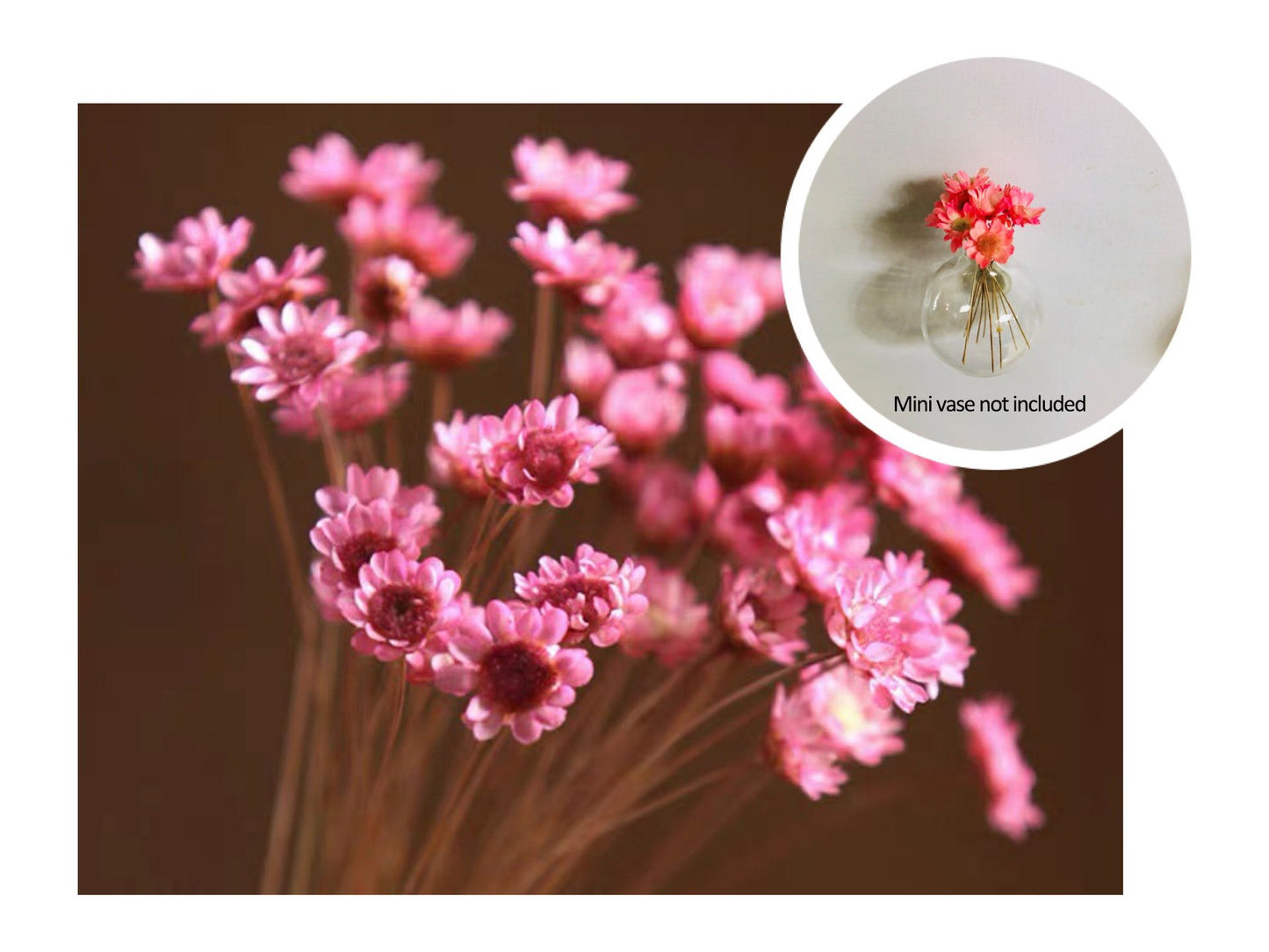 🎁Early Christmas🌸 Mini Ceramics Vase Fridge Magnet