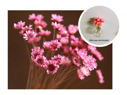 🎁Early Christmas🌸 Mini Ceramics Vase Fridge Magnet