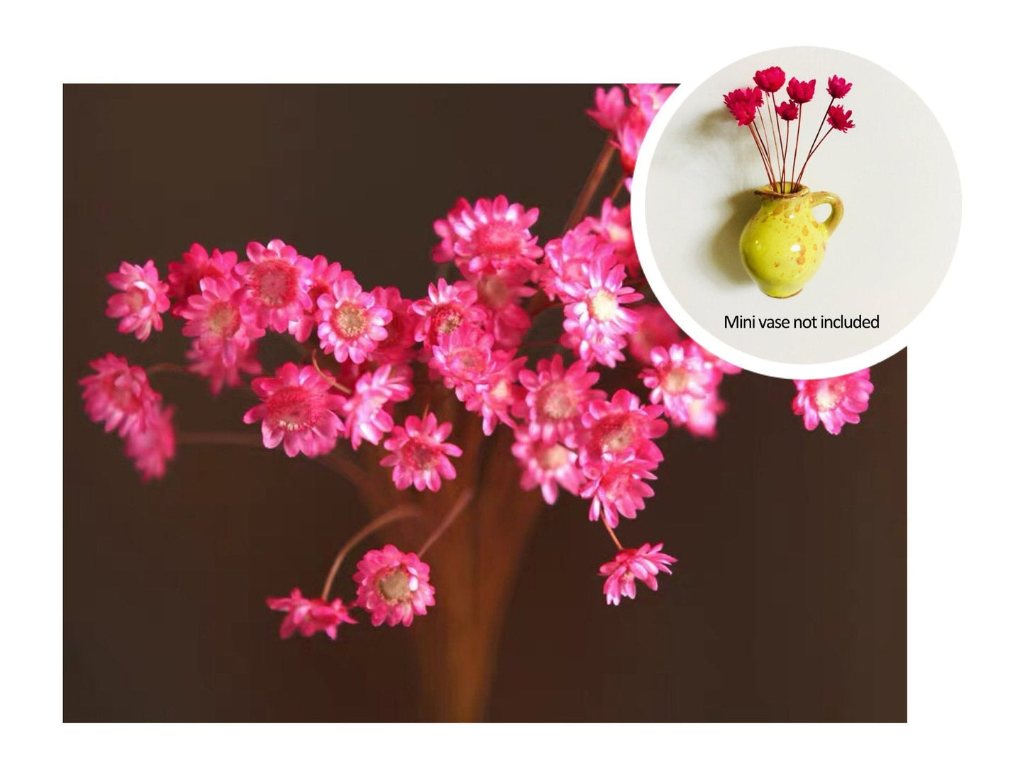 🎁Last Day Sale 49% OFF🌸 Mini Ceramics Vase Fridge Magnet