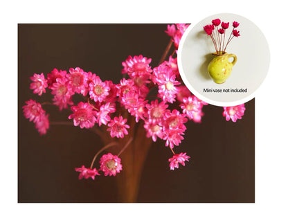 🎁Last Day Sale 49% OFF🌸 Mini Ceramics Vase Fridge Magnet